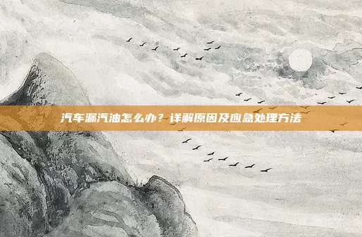 汽车漏汽油怎么办？详解原因及应急处理方法