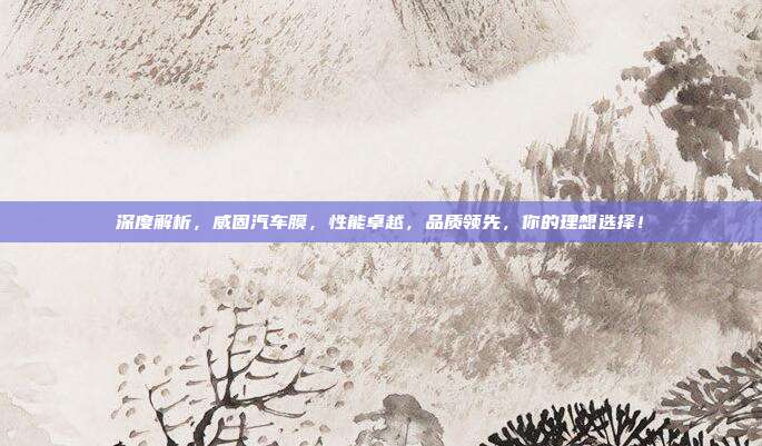 深度解析，威固汽车膜，性能卓越，品质领先，你的理想选择！