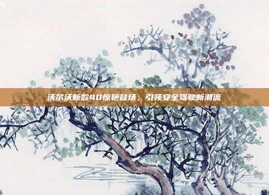 沃尔沃新款40惊艳登场，引领安全驾驶新潮流