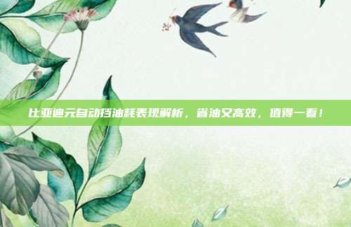比亚迪元自动挡油耗表现解析，省油又高效，值得一看！