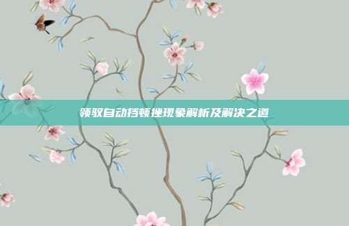 领驭自动挡顿挫现象解析及解决之道