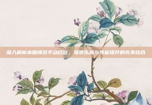 深入解析本田锋范手动档位，驾驶乐趣与性能提升的完美结合