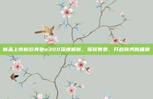 新品上市新款奔驰e300深度解析，驾驭尊贵，开启商务新篇章