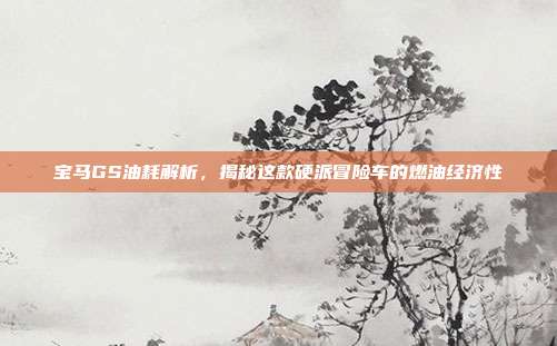 宝马GS油耗解析，揭秘这款硬派冒险车的燃油经济性
