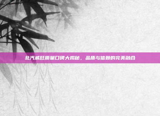 北汽威旺质量口碑大揭秘，品质与信赖的完美融合