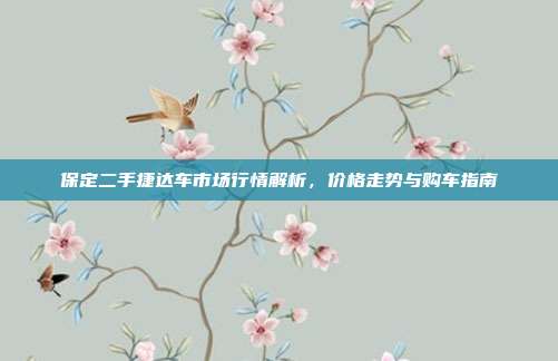 保定二手捷达车市场行情解析，价格走势与购车指南