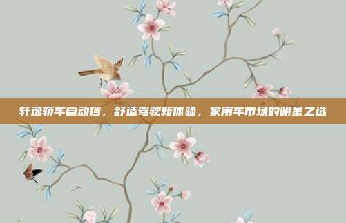 轩逸轿车自动挡，舒适驾驶新体验，家用车市场的明星之选