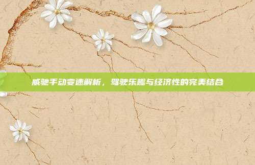 威驰手动变速解析，驾驶乐趣与经济性的完美结合