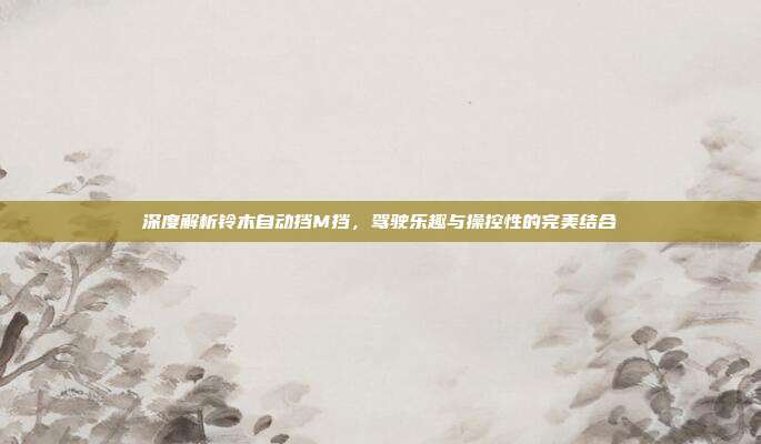 深度解析铃木自动挡M挡，驾驶乐趣与操控性的完美结合
