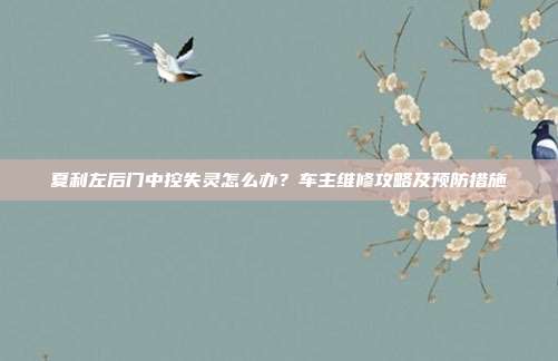 夏利左后门中控失灵怎么办？车主维修攻略及预防措施