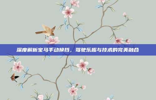 深度解析宝马手动换挡，驾驶乐趣与技术的完美融合