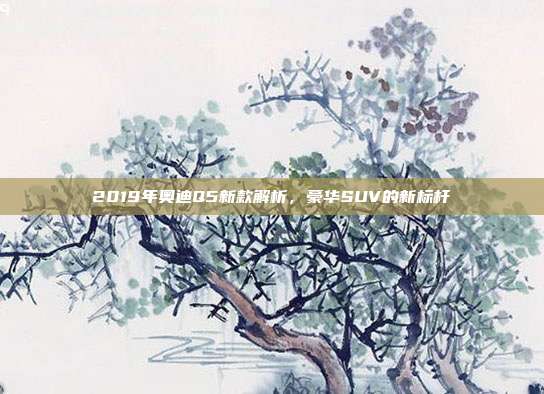 2019年奥迪Q5新款解析，豪华SUV的新标杆