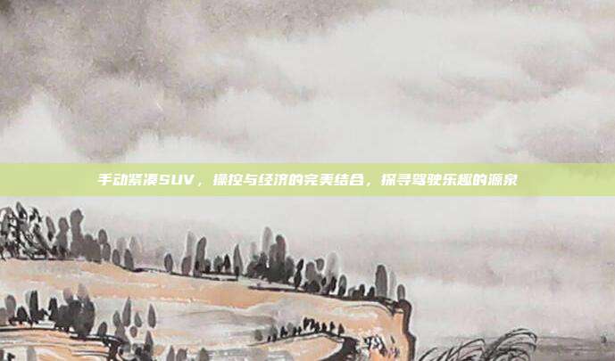 手动紧凑SUV，操控与经济的完美结合，探寻驾驶乐趣的源泉