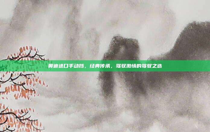 奥迪进口手动挡，经典传承，驾驭激情的驾驭之选