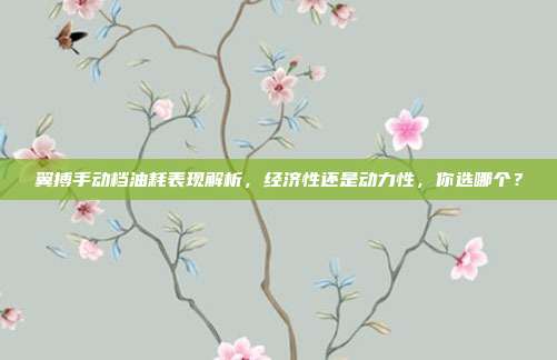 翼搏手动档油耗表现解析，经济性还是动力性，你选哪个？
