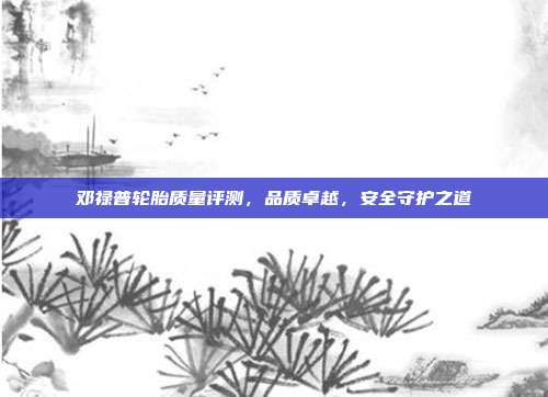邓禄普轮胎质量评测，品质卓越，安全守护之道