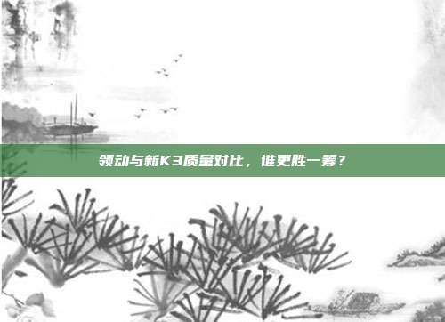 领动与新K3质量对比，谁更胜一筹？
