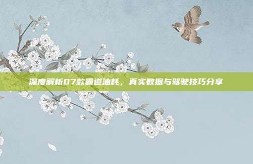 深度解析07款霸道油耗，真实数据与驾驶技巧分享
