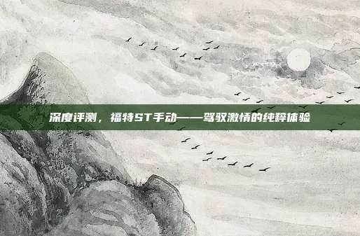 深度评测，福特ST手动——驾驭激情的纯粹体验