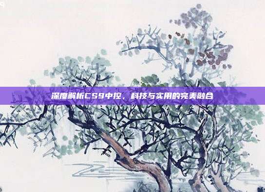 深度解析CS9中控，科技与实用的完美融合