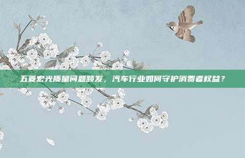 五菱宏光质量问题频发，汽车行业如何守护消费者权益？