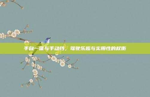 手自一体与手动挡，驾驶乐趣与实用性的权衡
