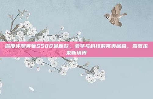 深度评测奔驰S500最新款，豪华与科技的完美融合，驾驭未来新境界