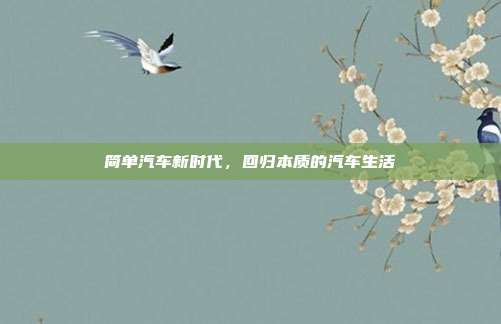 简单汽车新时代，回归本质的汽车生活