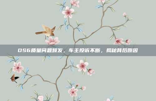 DS6质量问题频发，车主投诉不断，揭秘背后原因