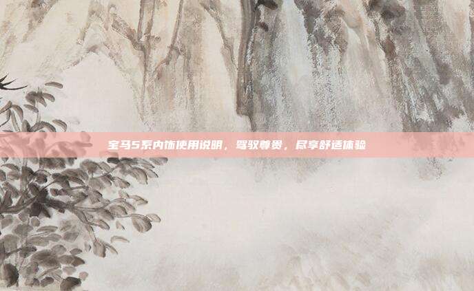 宝马5系内饰使用说明，驾驭尊贵，尽享舒适体验