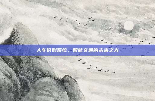 人车识别系统，智能交通的未来之光