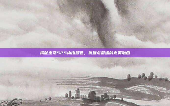 揭秘宝马525内饰颜色，优雅与舒适的完美融合