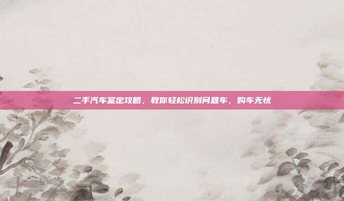 二手汽车鉴定攻略，教你轻松识别问题车，购车无忧