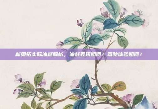 新奥拓实际油耗解析，油耗表现如何？驾驶体验如何？