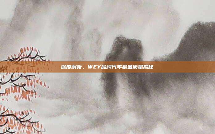 深度解析，WEY品牌汽车整备质量揭秘