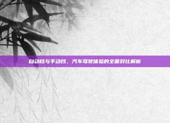自动档与手动挡，汽车驾驶体验的全面对比解析