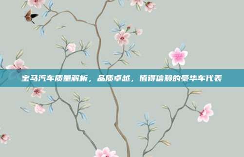 宝马汽车质量解析，品质卓越，值得信赖的豪华车代表