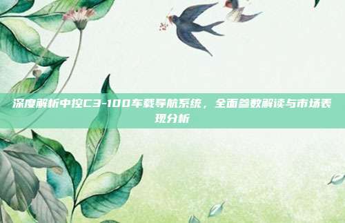 深度解析中控C3-100车载导航系统，全面参数解读与市场表现分析