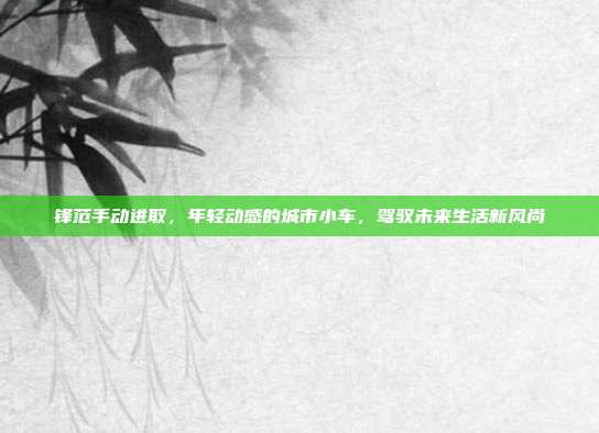 锋范手动进取，年轻动感的城市小车，驾驭未来生活新风尚