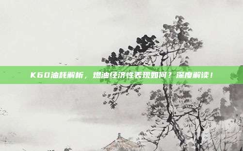 K60油耗解析，燃油经济性表现如何？深度解读！
