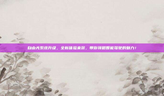 自由光系统升级，全新体验来袭，带你领略智能驾驶的魅力！