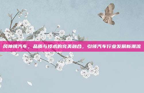风神牌汽车，品质与技术的完美融合，引领汽车行业发展新潮流