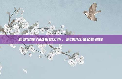 新款宝骏730价格公布，高性价比家轿新选择