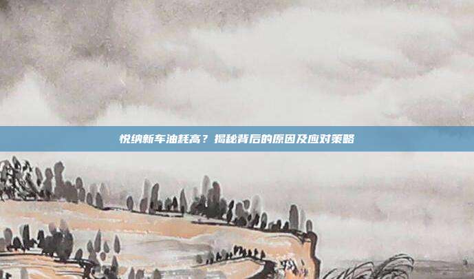 悦纳新车油耗高？揭秘背后的原因及应对策略