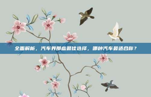 全面解析，汽车界那些最佳选择，哪种汽车最适合你？