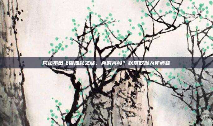 揭秘本田飞度油耗之谜，真的高吗？权威数据为你解答