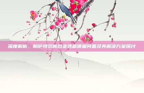 深度解析，帕萨特双离合变速箱质量问题及其解决方案探讨