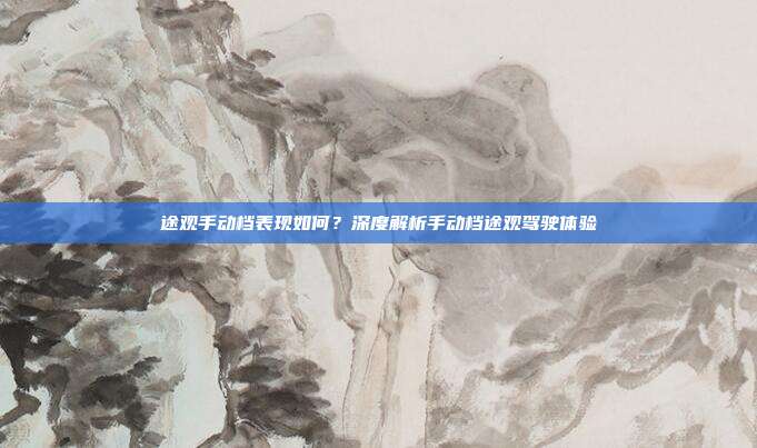 途观手动档表现如何？深度解析手动档途观驾驶体验