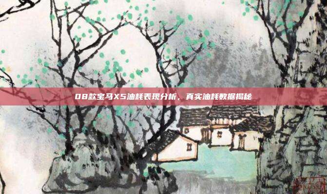 08款宝马X5油耗表现分析，真实油耗数据揭秘
