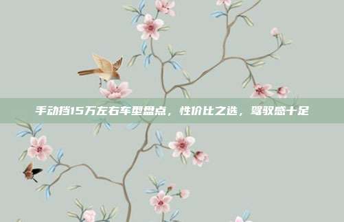 手动挡15万左右车型盘点，性价比之选，驾驭感十足
